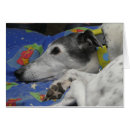 Search for sighthound cards Greyhounds