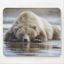 Search for mud mouse mats Outdoor