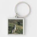 Search for andres key rings Chile