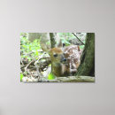 Search for fawn canvas prints Nature