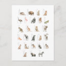 Search for cute alphabet postcards Children
