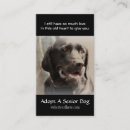 Search for animal rescue business cards Dog