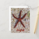 Search for reef vertical postcards Souvenir
