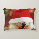 Search for bichon frise cushions Puppy
