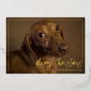 Search for dachshund merry christmas cards Puppy