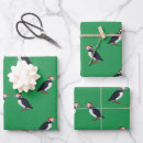 Search for puffin wrapping paper Bird