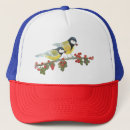Search for tree branches hats Birds
