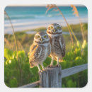 Search for burrow stickers Owl