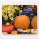Search for assorted colours mouse mats Assortment