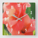 Search for gladiola Peach