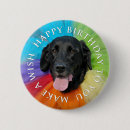 Search for black lab dog badges Labrador retriever