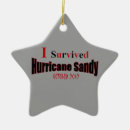 Search for hurricane christmas tree decorations Survived