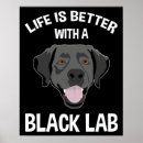 Search for black lab posters Cute