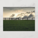 Search for pasture postcards Sky