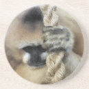 Search for ape barware Gibbon