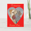 Search for labrador valentines day cards Dog