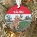 Search for brown christmas tree decorations Pets