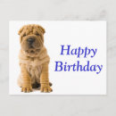 Search for shar pei dog birthday cards Puppy