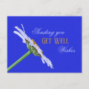 Search for single flower horizontal postcards Floral