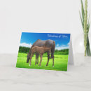 Search for horse get well cards Animals