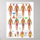 Search for pain doctor Chiropractic