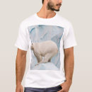 Search for arctic bear clothing Nature