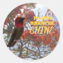 Search for hummingbird art stickers Colourful