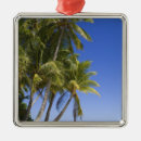 Search for palm beach christmas tree decorations Warm