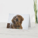 Search for hope christmas cards Dog