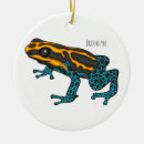 Search for dart christmas tree decorations Frog