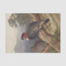 Search for bird tissue paper Black