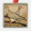 Search for mourning doves christmas tree decorations Wildlife