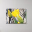 Search for beginnings canvas prints Nature