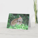 Search for fawn cards Cute