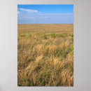 Search for nebraska posters Landscape