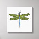 Search for dragonfly canvas prints Insect