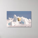 Search for rough canvas prints Animal