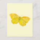 Search for beast postcards Wings