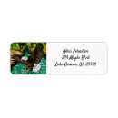 Search for digital return address labels Nature