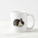 Search for brown rabbit mugs Wildlife