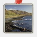 Search for coast christmas tree decorations Seashore