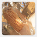 Search for stalking stickers Corn