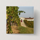 Search for vineyards badges Vinifera