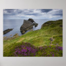 Search for landforms posters Coast