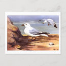 Search for bird print postcards Antique