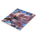 Search for pink wall tiles Flowers