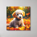 Search for poodle canvas prints Puppy