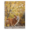 Search for antidepressant Corgi