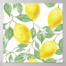 Search for kitchen lemon art Fruit