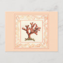 Search for shells postcards Coral